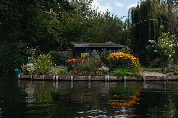 Extermination punaise de lit à toulouse : solution efficace et écologique