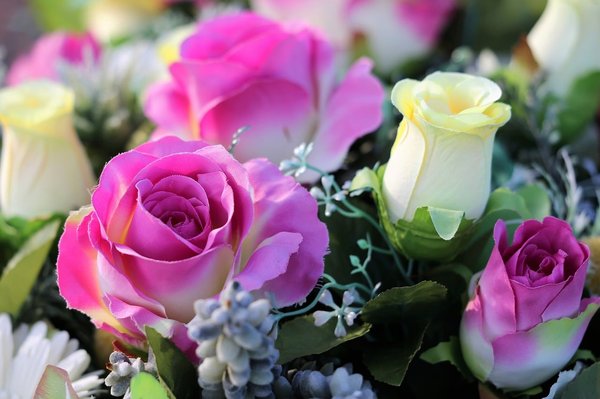 La touche végétale parfaite : les plantes artificielles en décoration intérieure