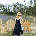 Les avantages d’une palissade pour votre jardin